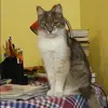 Отзыв от Марина Кулагина